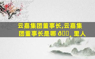 云嘉集团董事长,云嘉集团董事长是哪 🕸 里人